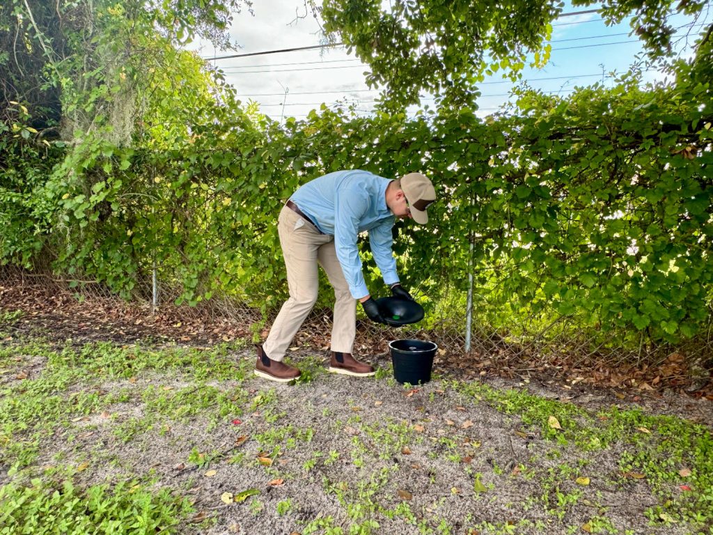 Mosquito Control