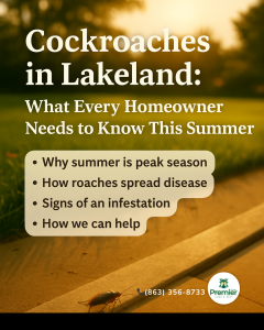 Cockroaches in Lakeland